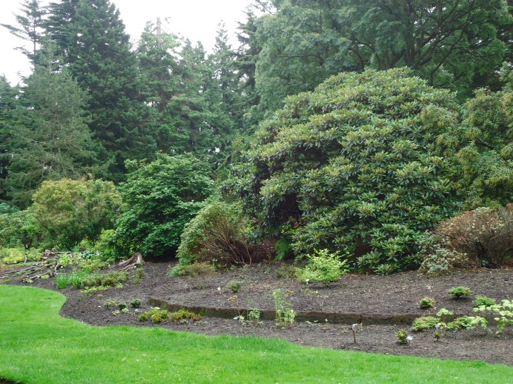 Along the garden path