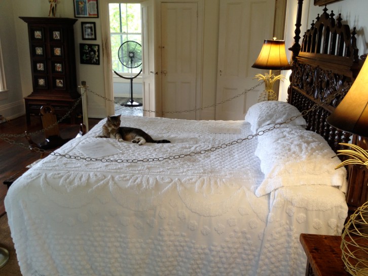 Really have the run of the house